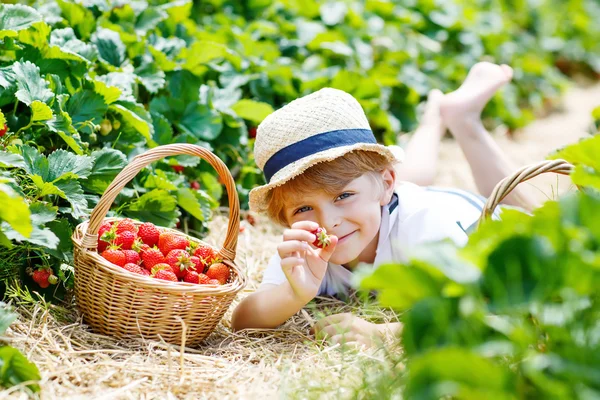Маленький ребенок мальчик, сбор клубники на ферме, на открытом воздухе — стоковое фото