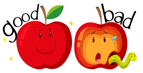 Красные яблоки в хорошие и плохие условия — стоковый вектор