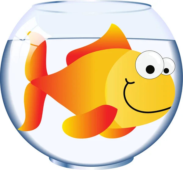 Аквариум для золотой рыбки — стоковое фото