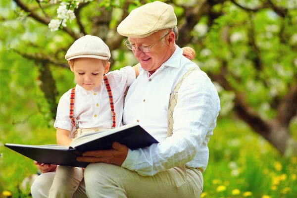 Дед с внуком чтения книги в Весенний Сад — стоковое фото