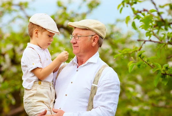 Милый дедушка с внуком на руках в Весенний Сад — стоковое фото