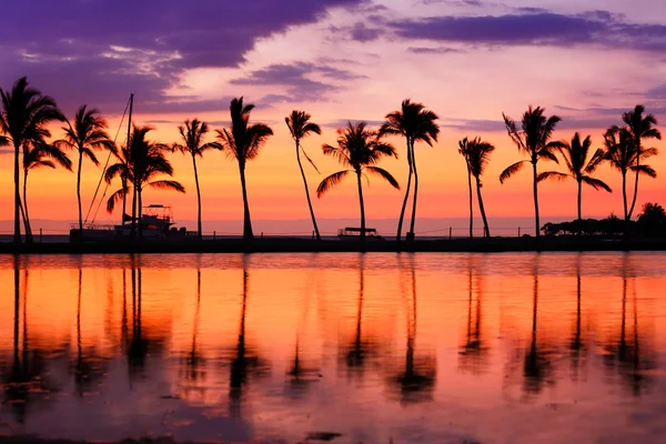 Пляж закат пейзаж с пальмами — стоковое фото