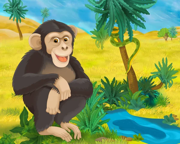 Мультфильм дикая обезьяна — стоковое фото