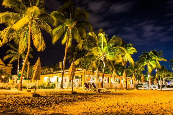Пальмы и ресторан ночью на южном пляже, в Ки-Уэсте — стоковое фото