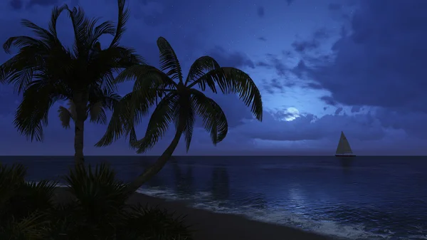 Пальмовые деревья и силуэты парусник на фоне ночного неба — стоковое фото