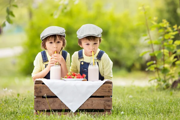 Две красивые дети, братья мальчик, ест клубнику и co — стоковое фото