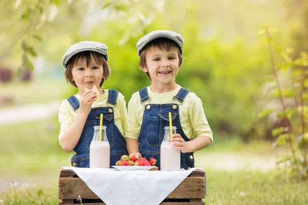 Две красивые дети, братья мальчик, ест клубнику и co — стоковое фото