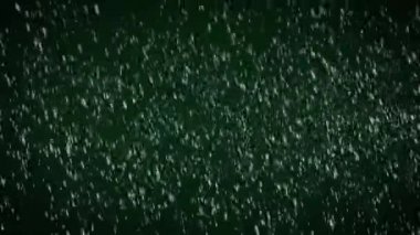 Снежинки падают на зеленом фоне — стоковое видео