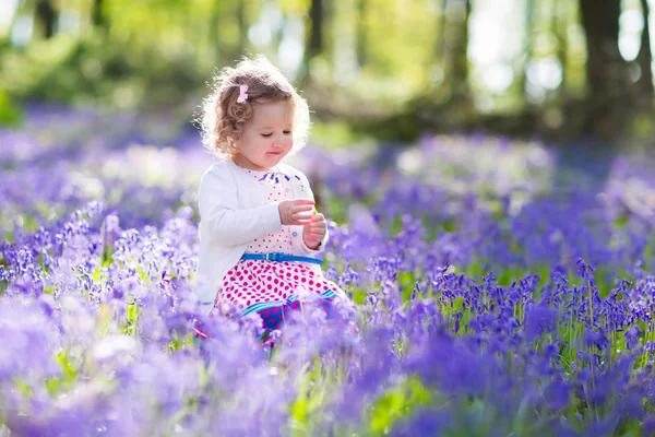 Little girl playing in bluebell flowers field — стоковое фото