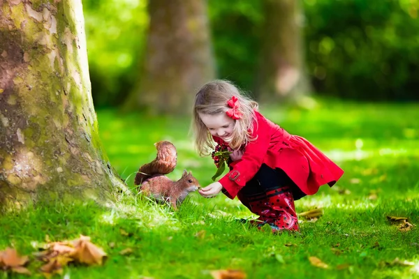 Маленькая девочка кормит белка в Осенний парк — стоковое фото
