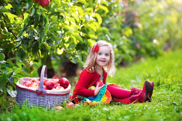 Маленькая девочка, сбор яблок из дерева в фруктовый сад — стоковое фото