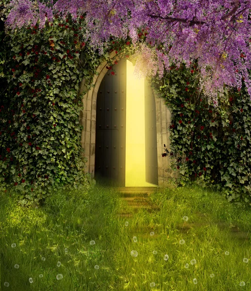 Фэнтезийная дверь — стоковое фото