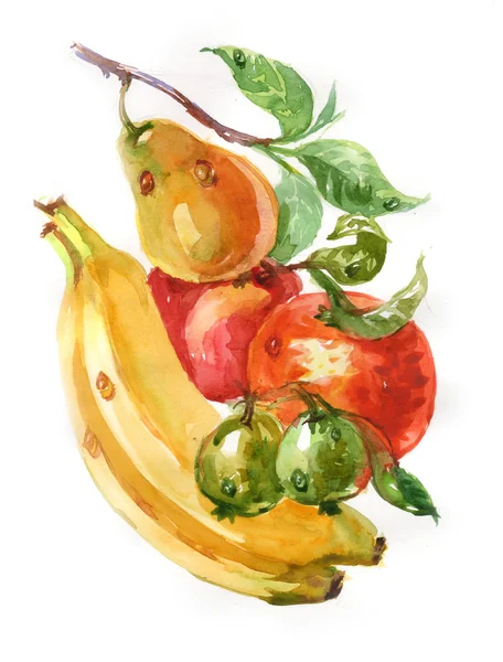 Акварельная живопись фруктов — стоковое фото