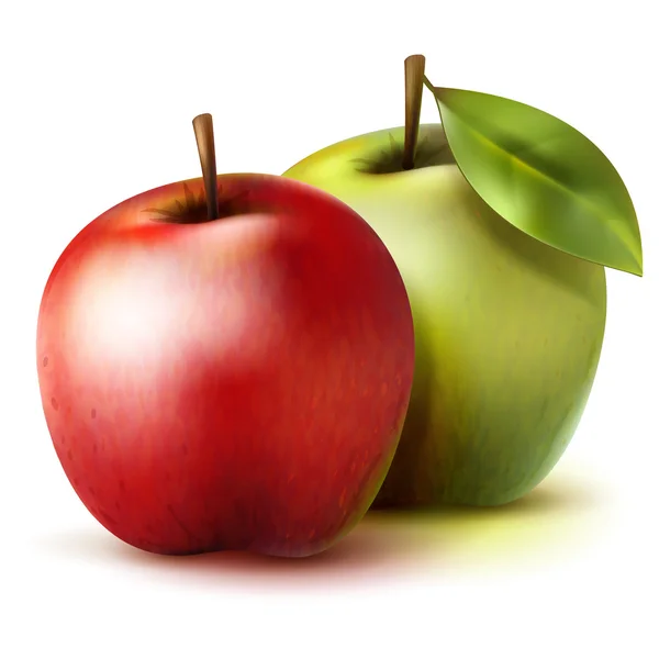 Два реалистичные яблоки — стоковый вектор