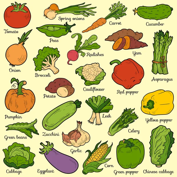 Цветовой набор с овощами, векторные мультфильм наклейки — стоковый вектор