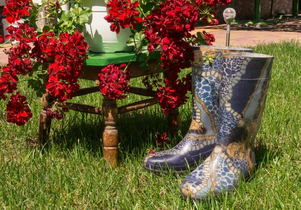 Яркие садовые резиновые сапоги — стоковое фото