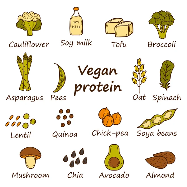 Вегетарианец белка значки — стоковый вектор