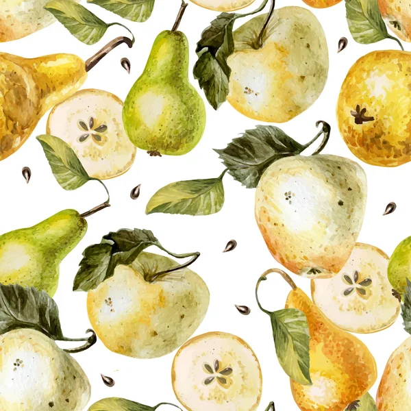 Акварельный рисунок с яблок и груш — стоковый вектор
