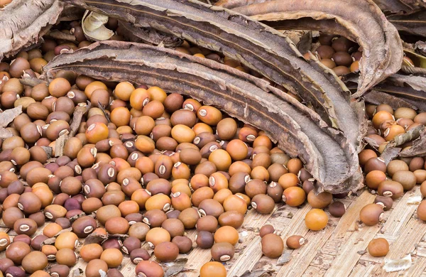 Сушеные крылатые семена и бобы стручок на корзина бамбука — стоковое фото