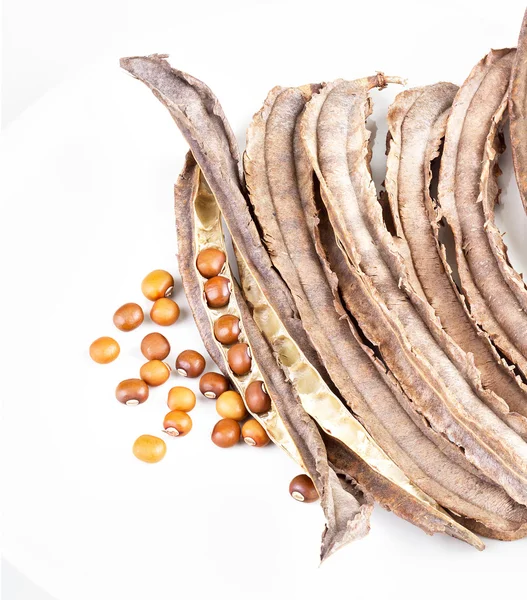 Сушеные крылатые семена и бобы стручок на белый блюдо — стоковое фото