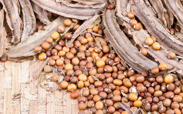 Сушеные крылатые семена и бобы стручок на корзина бамбука — стоковое фото