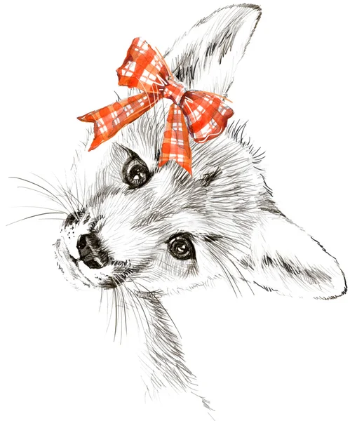 Cute Fox T-shirt graphics. Fox pencil sketch. Cute animal illustration for fashion print, poster for textiles, fashion design — стоковое фото