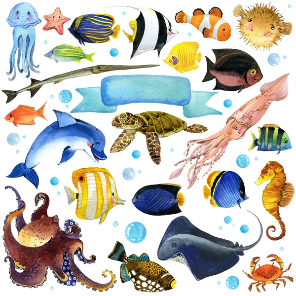 Море Рыба акварель набор. необычные морская фауна. акварель морская тема. подводный мир набор. акварель иллюстрации экзотических рыб для детей — стоковое фото