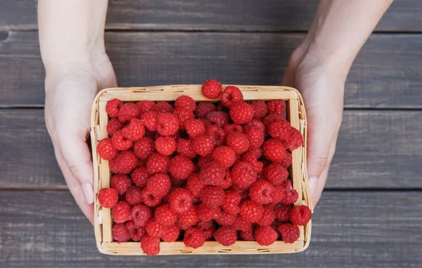 Fresh raspberries basket in womans hands on wood background — стоковое фото
