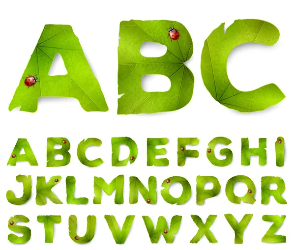 Буквы алфавита Vector из зеленых листьев, изолированные на белом — стоковый вектор