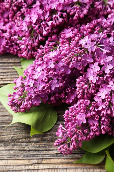 Фиолетовая сиреневые цветы — стоковое фото