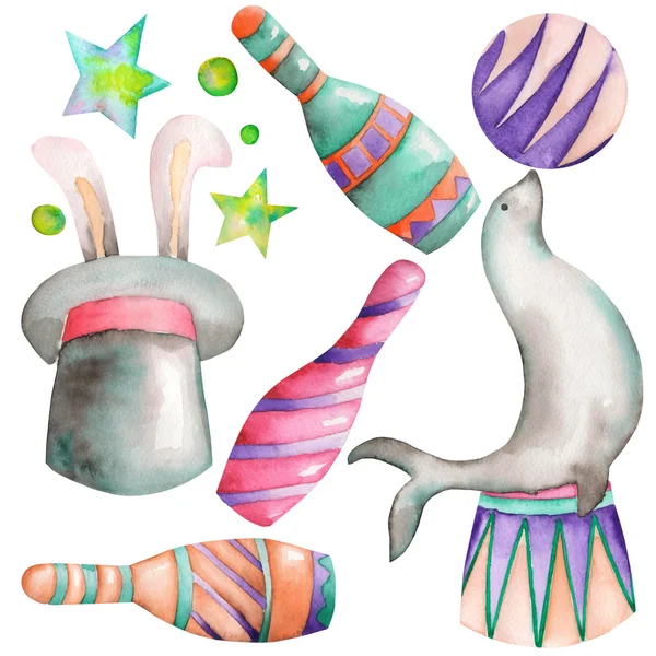 Акварель Цирк набор с рисованной элементов: морских котиков с мячом, шляпу с кроликом и цирк чаши. Роспись на белом фоне — стоковое фото
