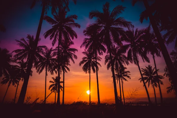 Силуэт кокосовых пальм на пляж на закате. Старинный тон — стоковое фото