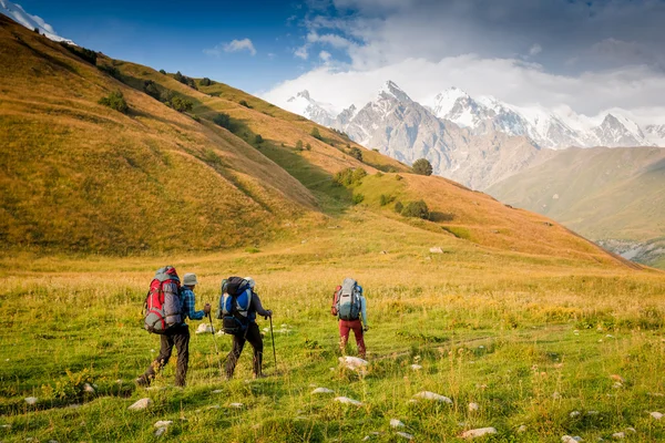 Три путешественников в горах — стоковое фото