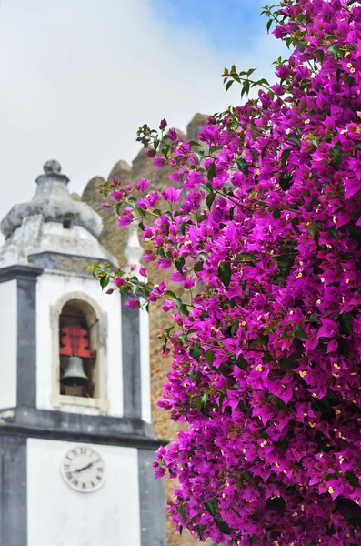 Цветы красивые розовые бугенвиллеи в Obidos, Португалия — стоковое фото