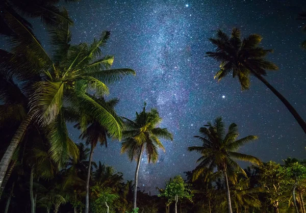 Ночь выстрел с пальмами и Млечный путь в фоновом режиме — стоковое фото