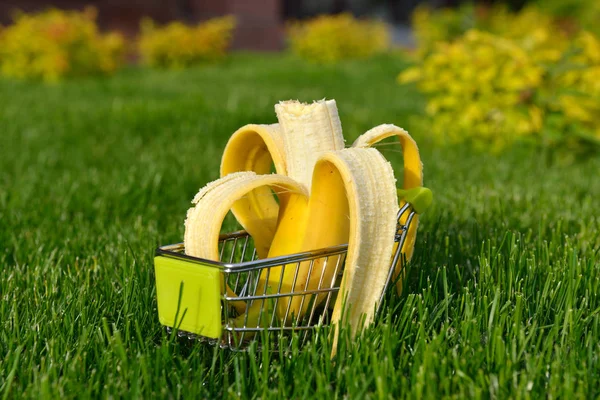 Корзина с бананом — стоковое фото
