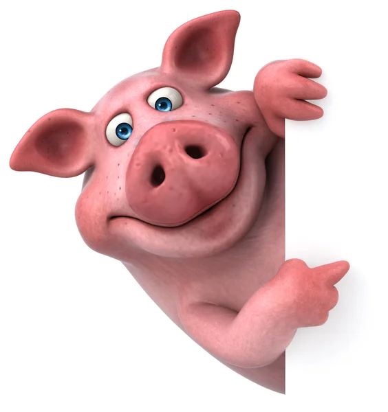 Смешная свинья Холдинг карты — стоковое фото