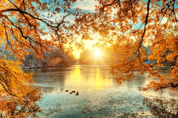 Красивые цветные деревья с озером осенью, пейзаж СФО — стоковое фото