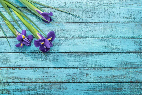 Ирисы цветы на столе — стоковое фото