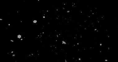 Черный новогодний фон с снежинки падает снег с вершины, праздник Рождество — стоковое видео