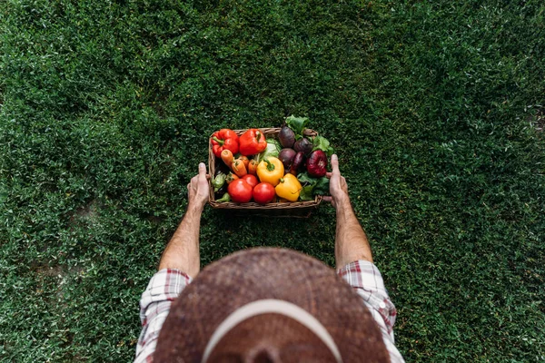 Фермер Холдинг корзина с овощами — стоковое фото
