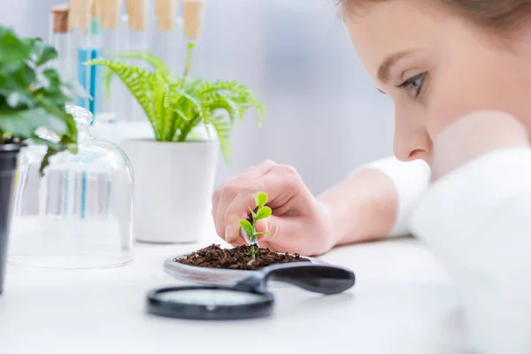 Девушка с зеленым растением в лаборатории — стоковое фото