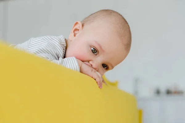 Очаровательны Младенцев Мальчика Желтый Диван — стоковое фото