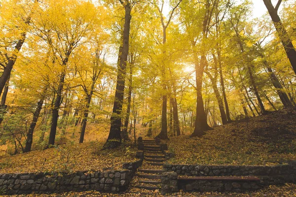 Лестницы на Осенний парк — стоковое фото