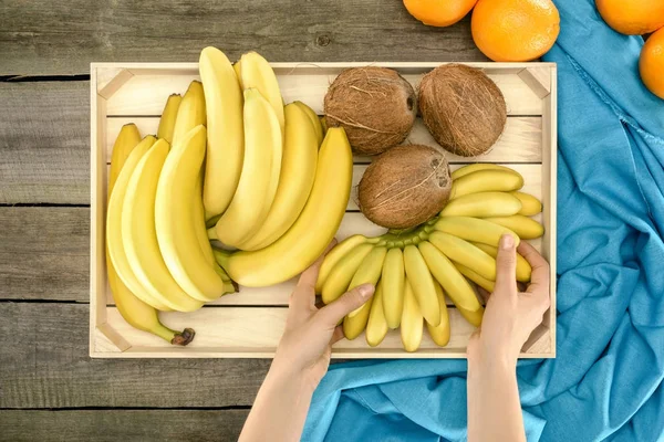 Руки с бананы и кокосы — стоковое фото
