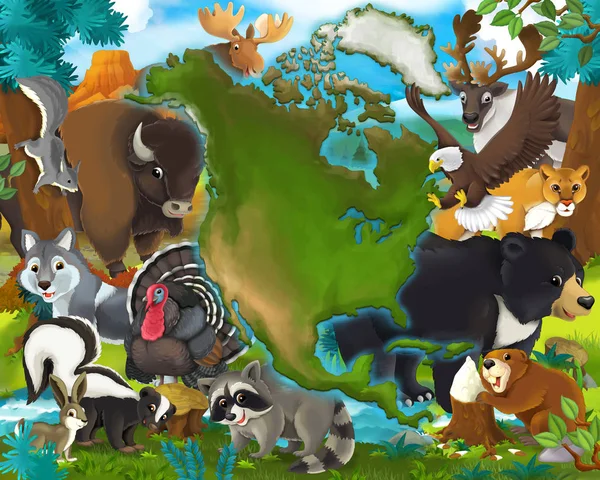 Мультфильм животных Северной Америки — стоковое фото