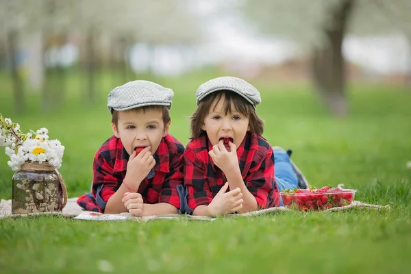 Двое детей, мальчик братьев, читая книгу и едят strawberri — стоковое фото