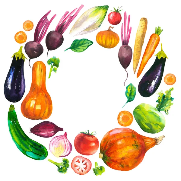 Акварельные иллюстрации с круглой составом сельскохозяйственной продукции. Набор овощи: баклажаны, тыква, цуккини, лук, помидоры, брокколи, свекла, морковь, Капуста кольраби. Свежие органические продукты питания — стоковое фото