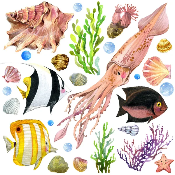 Акварель животных подводного мира — стоковое фото