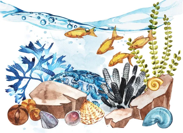 Морской пейзаж жизни - океан и подводный мир с различными жителей. Аквариум концепция плакаты, футболки, наклейки, веб-сайты, почтовые открытки — стоковое фото